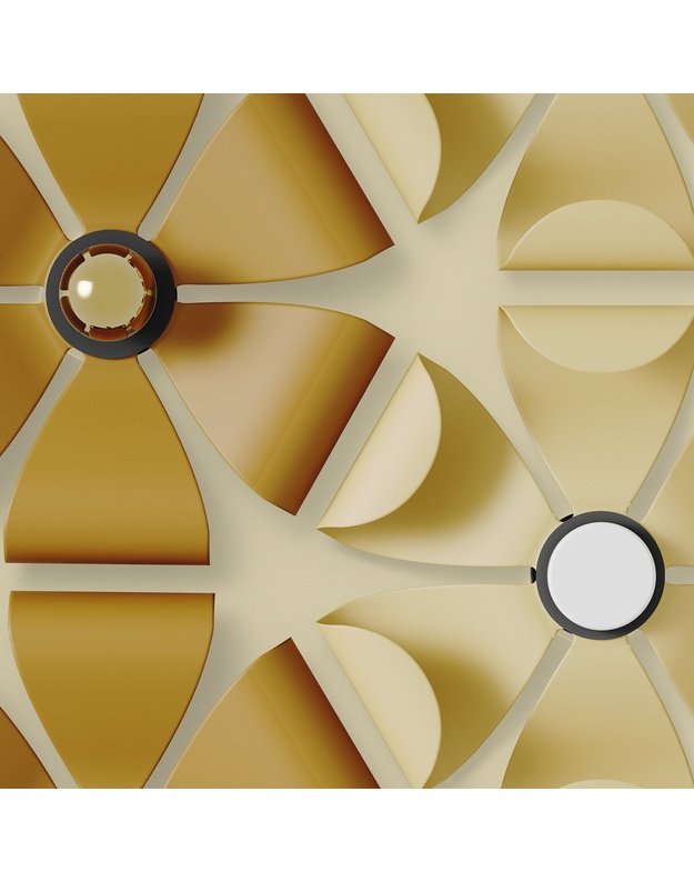 SIENINIS ŠVIESTUVAS RITA | +spalvos 2