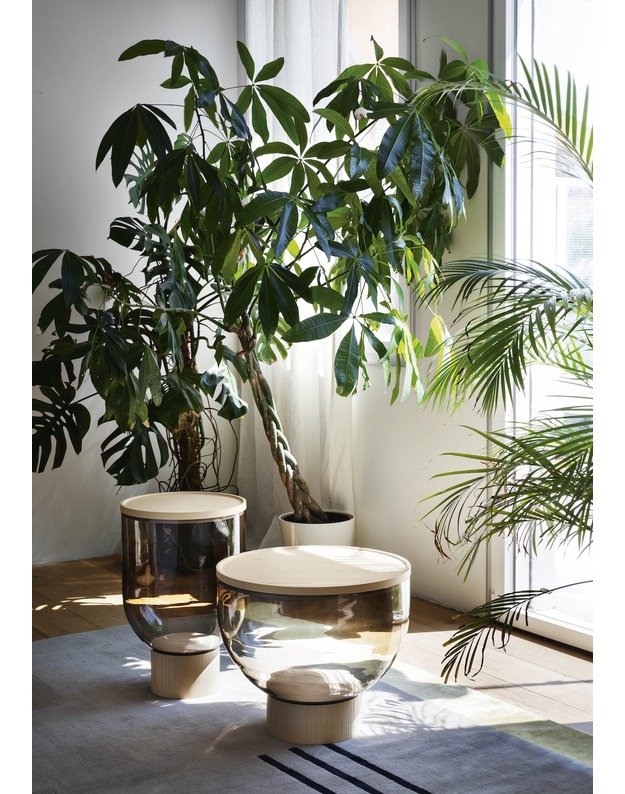 STALIUKAS MASTEA | +dydžiai 6