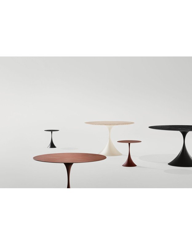 STALIUKAS LEO | +spalvos 12