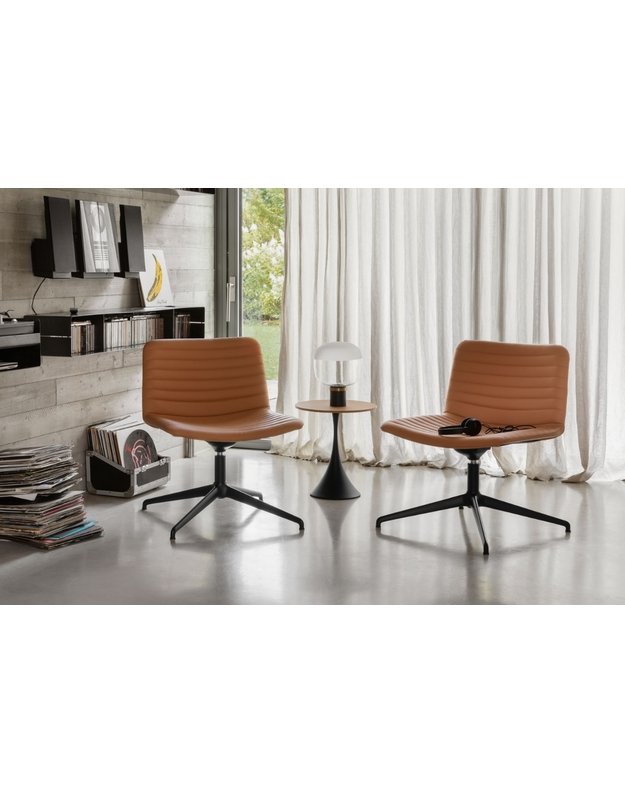 STALIUKAS LEO | +spalvos 1