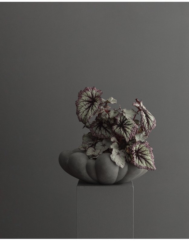 PADĖKLAS BLOOM BIG | Dark Grey  1