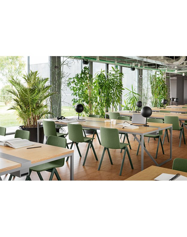 KĖDĖ STACK | +spalvos 4