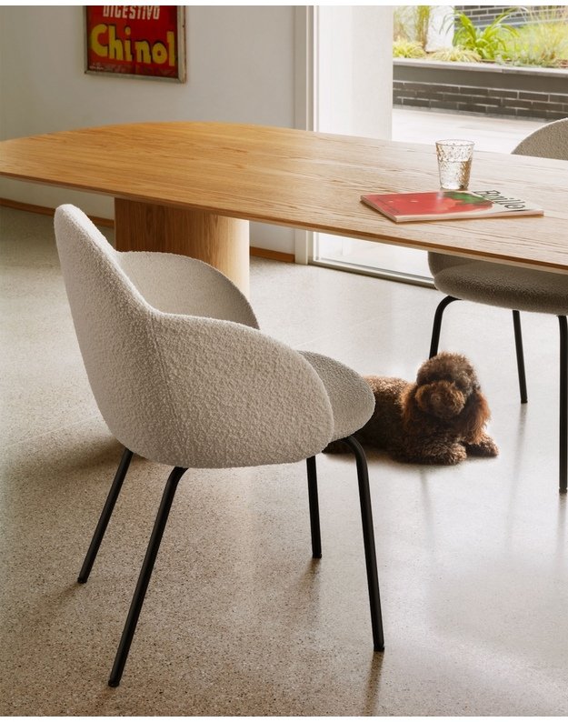 KĖDĖ SU PORANKIAIS IOLA BASIC | +spalvos 1