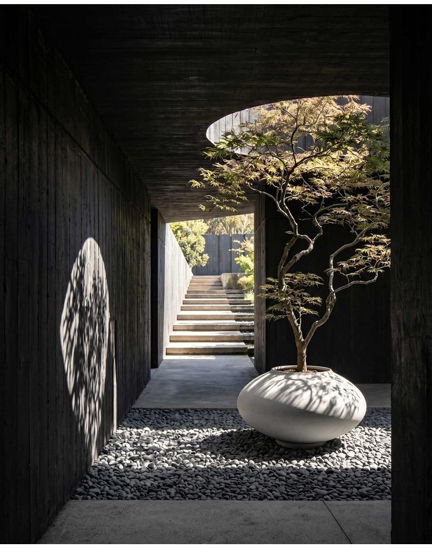 VAZONAS SUNAO ELLIPSE GIANT | Birch