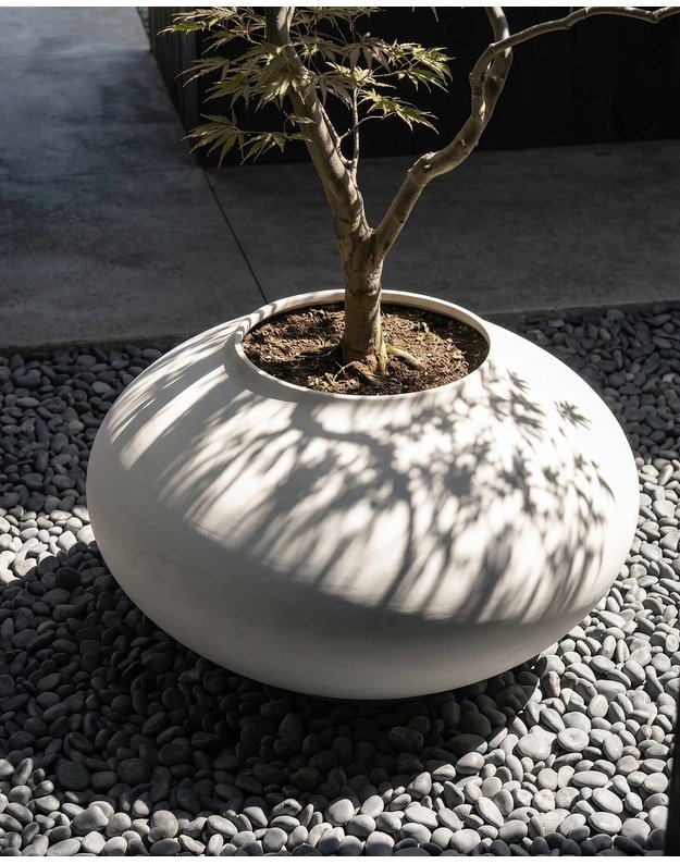 VAZONAS SUNAO ELLIPSE GIANT | Birch