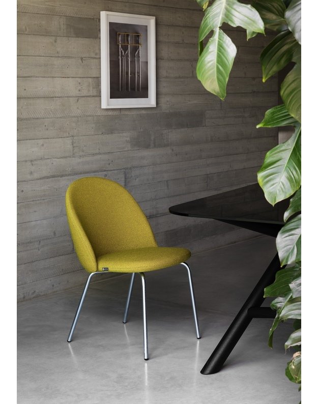 KĖDĖ IOLA BASIC | +spalvos 3