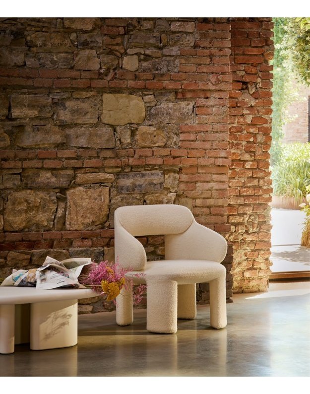AMIONA ARMCHAIR WITH ARMRESTS | +colours